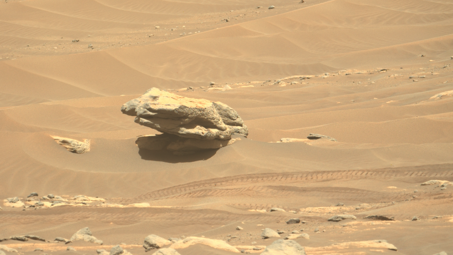 Das Foto der Woche zeigt einen Felsen im Jezero-Krater. (Bild: Nasa/ JPL Caltech) Nasa: Marsrover schickt nach 2 Wochen Funkstille spannende neue Fotos und Daten