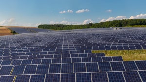 Bis zu 2,3 Grad kälter: Solarparks können umliegendes Land kühlen