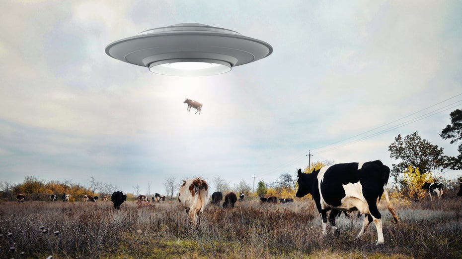 Ufo-Sichtungen: Nasa-Chef spekuliert über Alien-Technologie