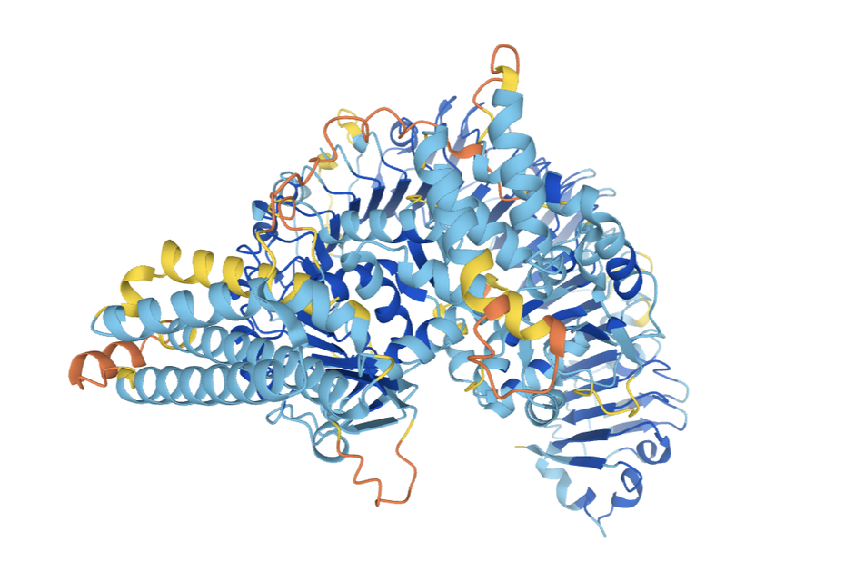 Aphafold Proteinstruktur