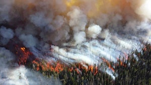 AR-App zeigt die Folgen des Klimawandels: Von Waldbrand bis Flutkatastrophe