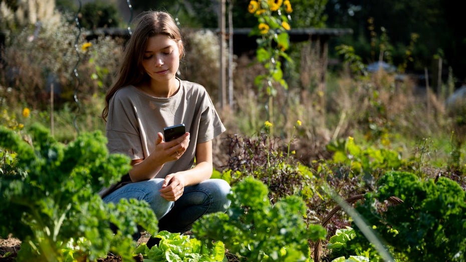 Alphabeet statt Alphabet: Garten-App erhält 1,15 Millionen Euro