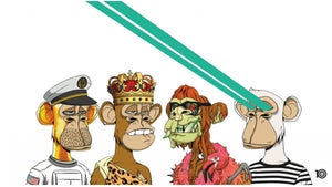 Kingship: Diese Boygroup besteht aus 4 NFT-Charakteren des Bored-Ape-Projekts
