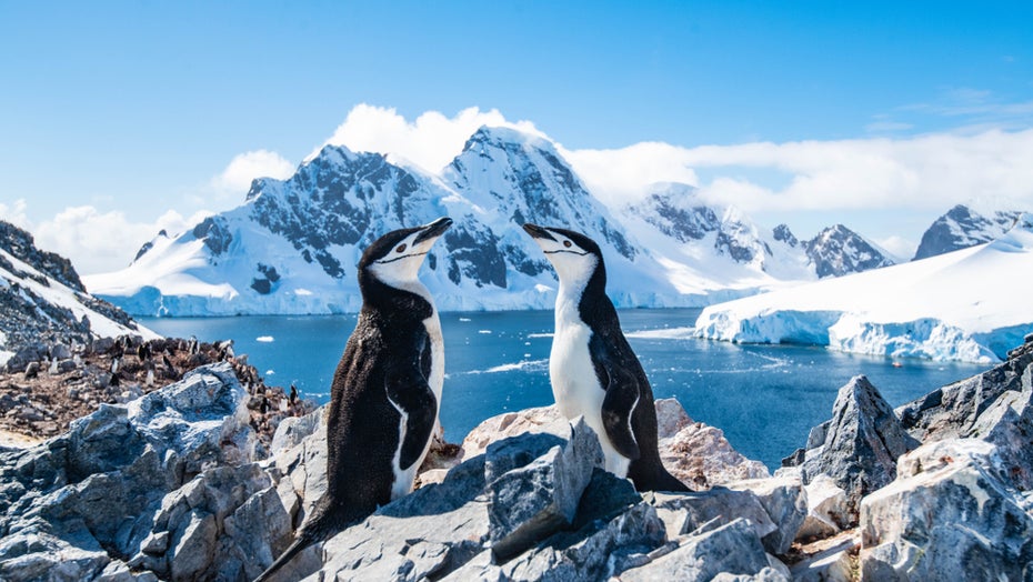 Düsenjets gegen Klimawandel: Forscher wollen die Polkappen wieder einfrieren