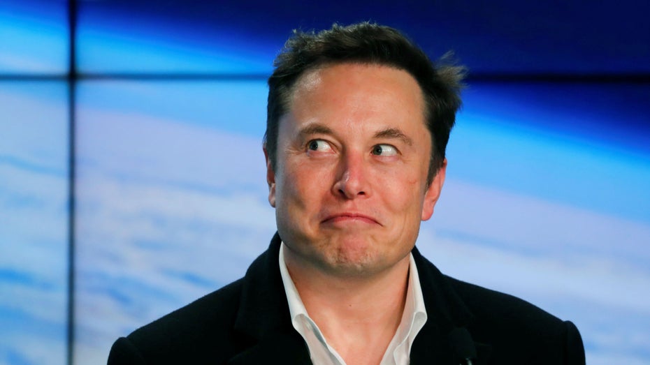 Tesla-Chef Elon Musk (Foto: Naresh 111 / Shutterstock)