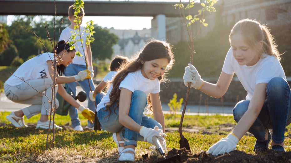 Bäume pflanzen fürs Klima – Greenwashing oder eine gute Idee? (Bild: Shutterstock / Dmytro Zinkevych) Bäume pflanzen fürs Klima – Greenwashing oder eine gute Idee?