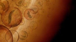Venus-Wolken: Neue Studie sieht Hinweise auf organisches Leben