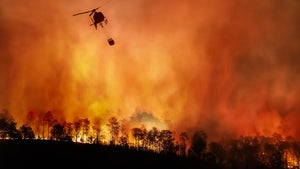 Schneller als die Feuerwehr: Mit Tweets gegen Waldbrände