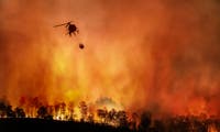 Schneller als die Feuerwehr: Mit Tweets gegen Waldbrände