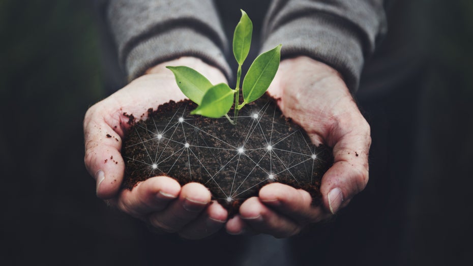 Climate Tech: Enormes Wachstum bei den Investitionen, aber unklarer Fokus Climate Tech: Enormes Wachstum bei den Investitionen, aber unklarer Fokus