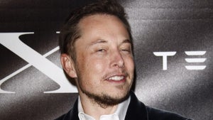 Elon Musk über die US-Förderung für Elektroautos: „Lasst es sein!“