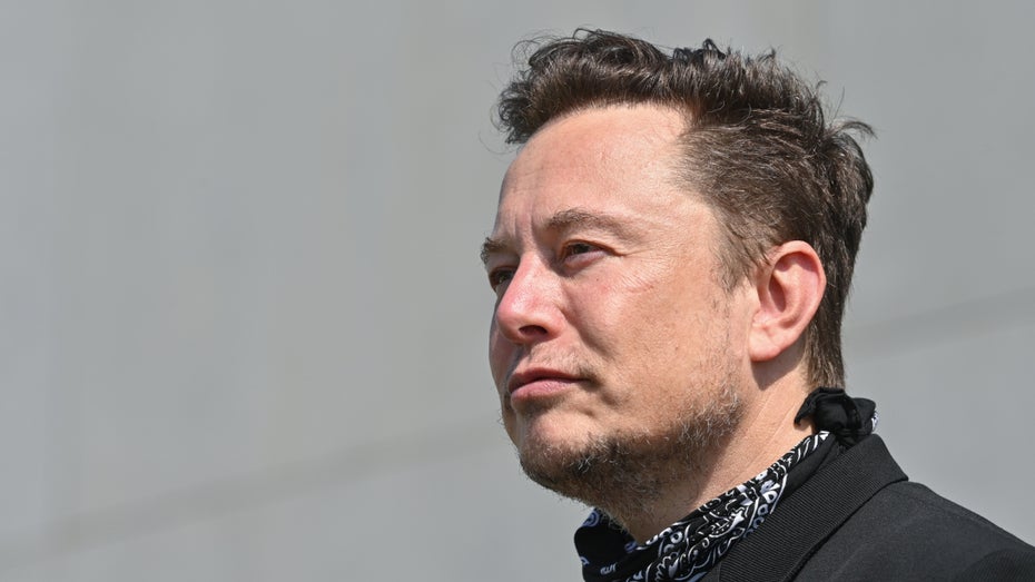 Elon Musk sieht Tesla als Opfer einer Verschwörung
