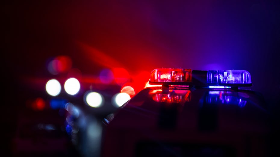 Cyberkriminalität beschädigt das Vertrauen in den Kryptomarkt. (Bild: zef art/Shutterstock) NFT-Betrug: Kriminelle könnten das Vertrauen in den gesamten Markt schädigen