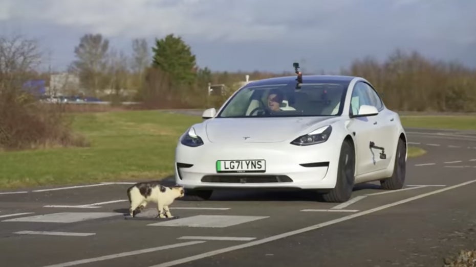 Katze gegen Tesla Model 3. (Screenshot: Youtube, carwow/t3n.de) Tesla Model 3 würde deine Katze überfahren – zeigt ein Experiment