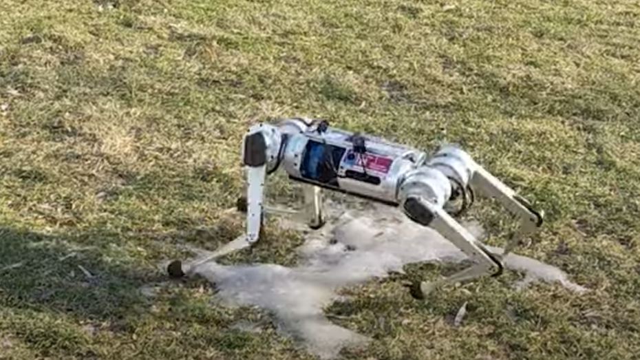 Auch auf glattem Untergrund macht der Roboter eine gute Figur. (Screenshot: Youtube) Dieser Roboter-Gepard hat selbst Laufen gelernt und eine neuen Geschwindigkeitsrekord aufgestellt