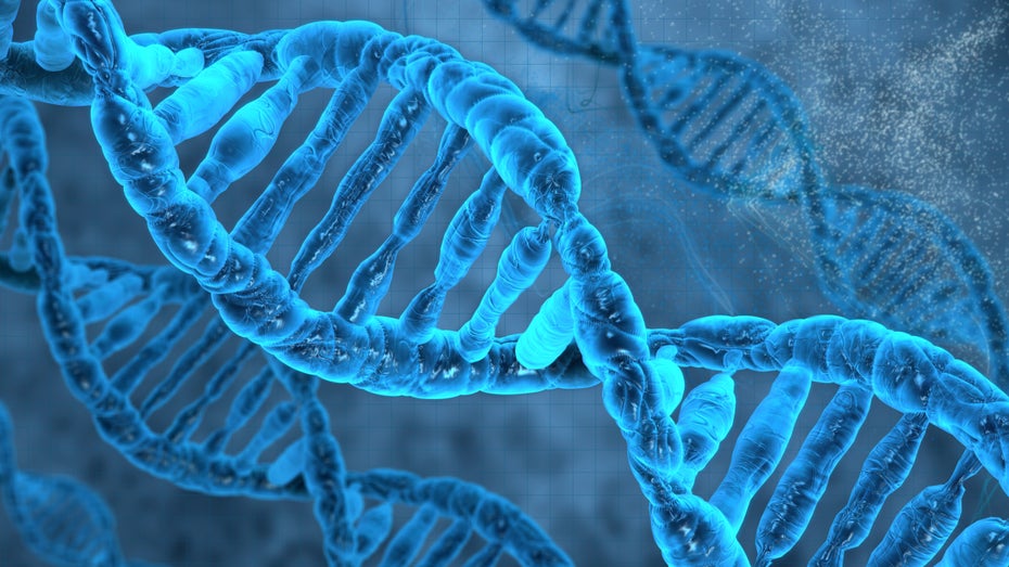 Menschliches Genom ist jetzt vollständig entschlüsselt