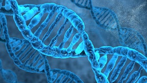 Menschliches Genom ist jetzt vollständig entschlüsselt