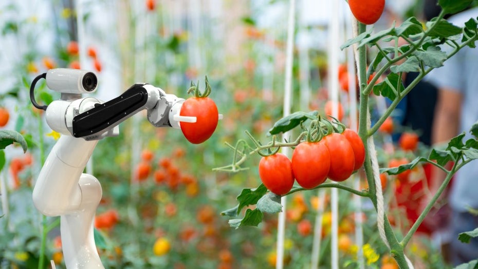 Roboter können Jobs erleichtern oder komplett übernehmen. (Foto: kung_tom/Shutterstock) Roboter klauen deinen Job? Ein Algorithmus soll dir jetzt zur Seite stehen