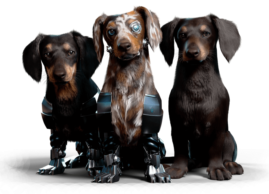 Digital Dogs – virtuelle Hunde