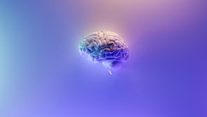 Dishbrain und die digitale Ethik: Haben Computer auf Basis von Gehirnzellen Rechte?