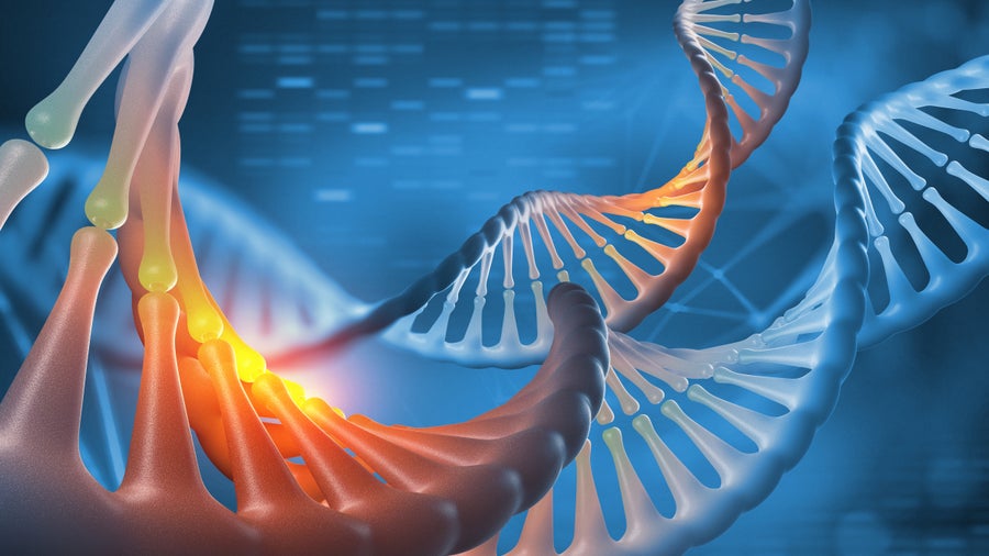 Bessere Kohlenstoffbindung durch neue Arten: CRISPR im Einsatz gegen den Klimawandel