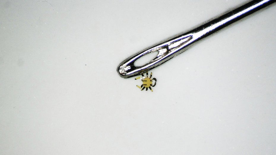 Die Mini-Roboter-Krabbe ist nur einen halben Millimeter groß. (Foto: Northwestern University) Dieser Mikro-Roboter kann durch ein Nadelöhr gehen