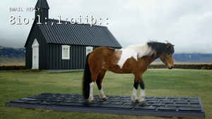 Osterferien: Hier schreibt ein Pferd die Abwesenheitsnotiz für deine Mails