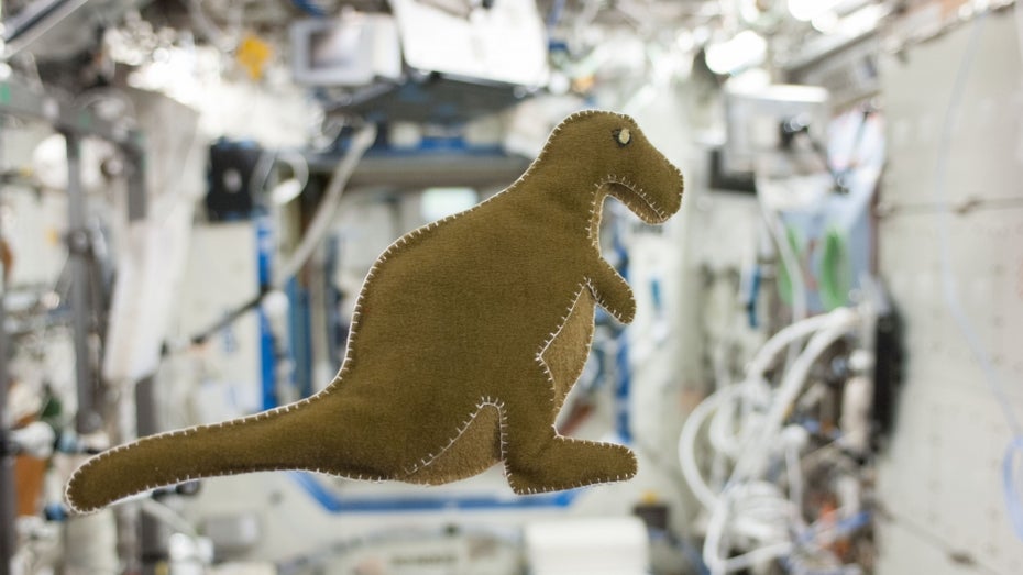Dieses Dino-Stofftier fertigte eine NASA-Astronautin an Bord der ISS an (Bild: Nasa) Stofftier, Lichtschwert, Dudelsack: Dieses Gepäck nehmen Astronauten mit ins All