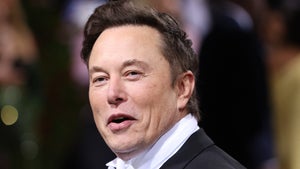 „Titter”: Elon Musk lässt „w” im Firmenschild übermalen, um Vermieter zu ärgern