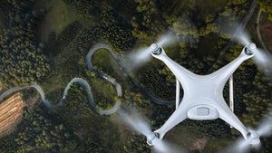 Drohnen sagen der Abholzung den Kampf an