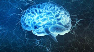 Gehirn auf „Reset“: Kann Genom-Editierung die Folgen von Alkoholmissbrauch beheben?