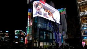 Von lebensechter Katze bis Darth Vader: Die 8 beeindruckendsten 3D-Billboards