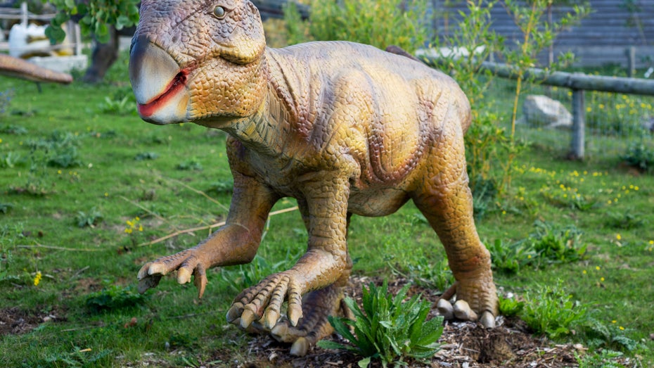 So soll der Psittacosaurus ausgesehen haben. (Foto: Lucy M Ryan / Shutterstock) In einem Fossil: Forscher finden erstmals Dino-Bauchnabel