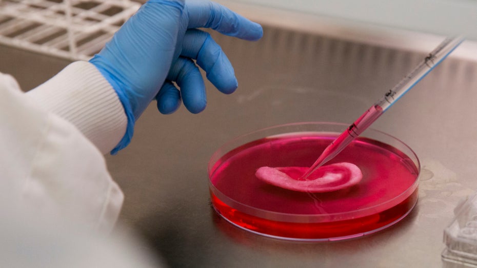 Erstmals hat eine Frau ein Ohrimplantat aus dem 3D-Drucker erhalten. Als „Tinte“ fungierten Zellen ihres eigenen Knorpelgewebes.   (Symbolbild, Foto: Shutterstock.com/ Julien Tromeur)