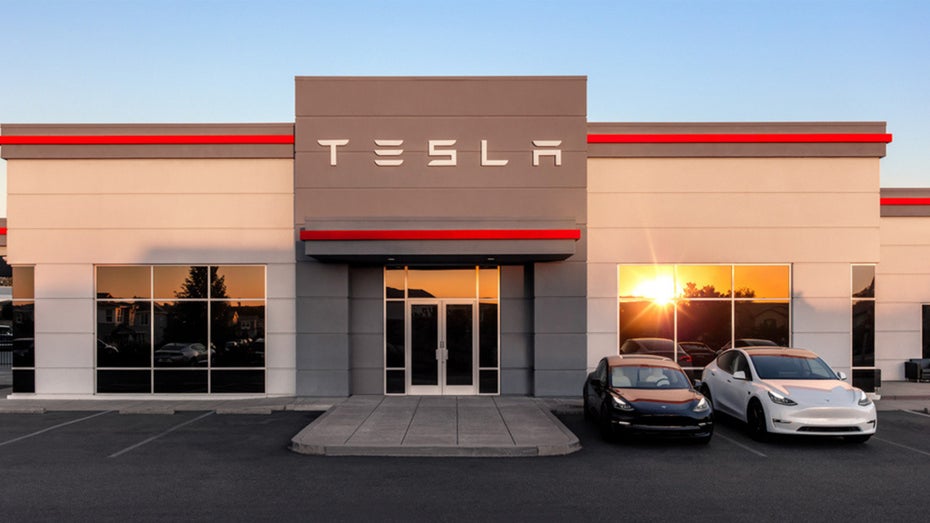 Entlassungen bei Tesla: Grafik zeigt, wohin die Ex-Mitarbeiter jetzt gehen
