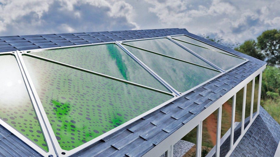Algenpanels sollen Strom erzeugen und CO2 in Sauerstoff umwandeln. (Bild: Greenfluidics) Produktion von Strom und Sauerstoff: Neuartige Algenpanels als CO2-Killer