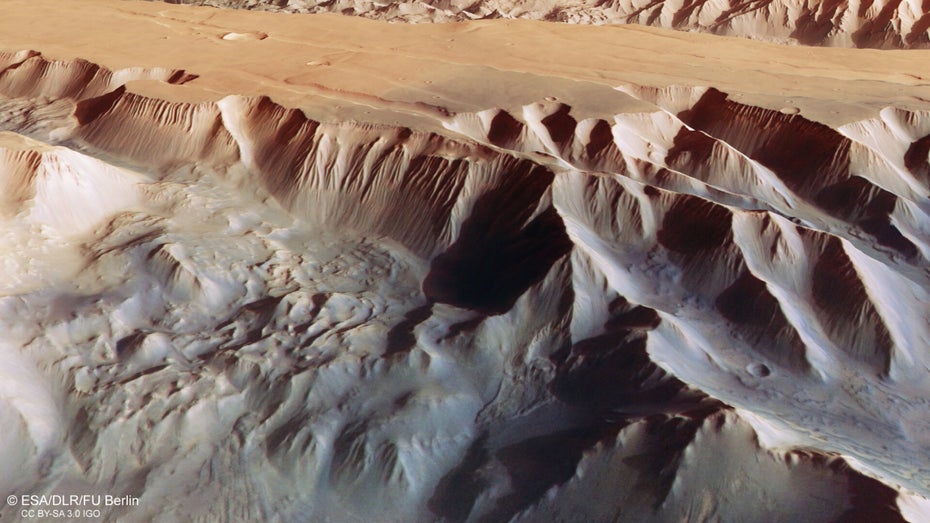 3D-Bild vom Mars Canyon Valles Marineris