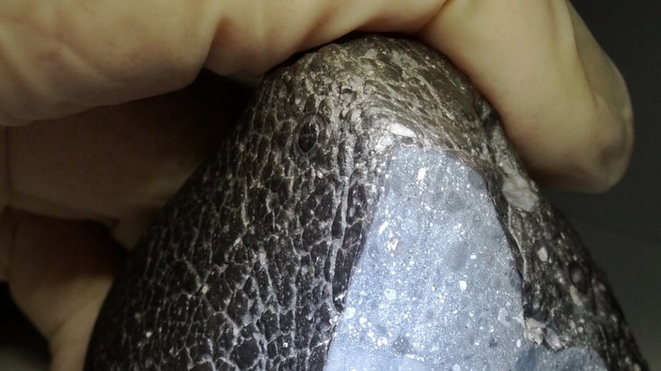 „Black Beauty“: KI findet Ursprungsort des ältesten Mars-Meteoriten