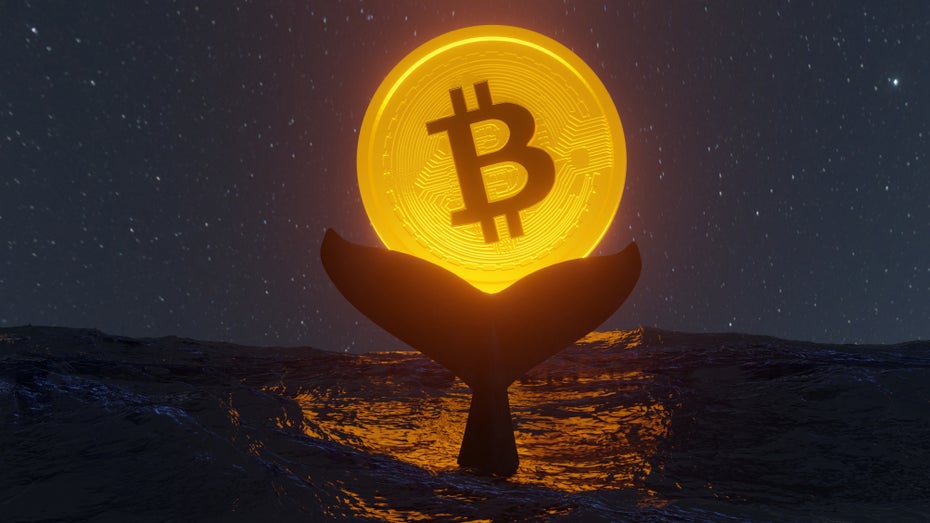 Angst vor Pleite? Bitcoin-Wal räumt gesamtes Coinbase-Konto leer Angst vor Pleite? Bitcoin-Wal räumt gesamtes Coinbase-Konto leer
