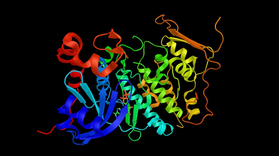 Das Problem der Proteinfaltung ist fast vollständig gelöst – das zeigt die riesige Datenbank der Deep-Learning-KI Alphafold. (Grafik: Shutterstock / ibreakstock) Das Problem der Proteinfaltung ist fast vollständig gelöst – das zeigt die riesige Datenbank der Deep-Learning-KI Alphafold. (Grafik: Shutterstock.com / ibreakstock)