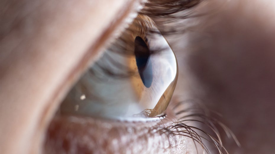 Eine neue Hornhaut soll Blinden helfen. (Foto: Shutterstock / Garna Zarina) Künstliche Hornhaut gibt 14 Menschen das Augenlicht zurück