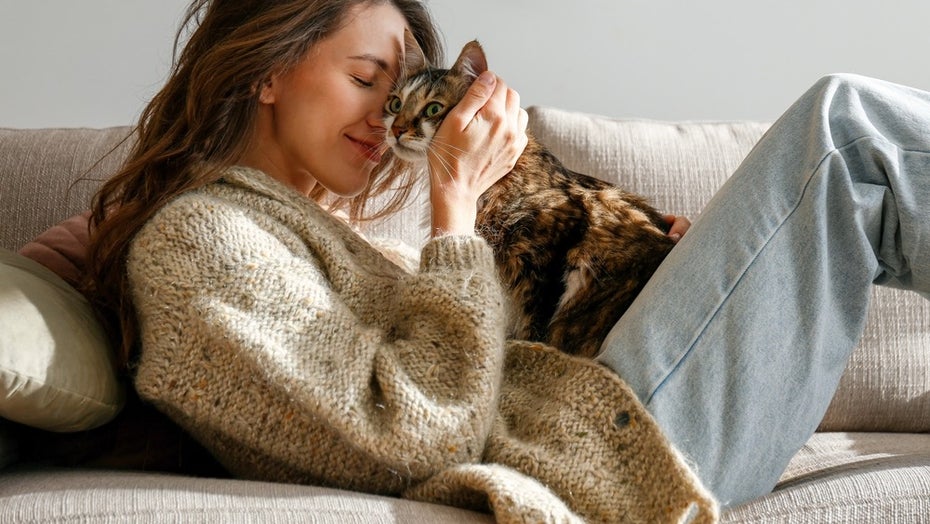 Hauptwirt Katzen: Parasit Toxoplasma gondii fördert laut Studie den Unternehmergeist. (Foto: evrymmnt/Shutterstock) Toxoplasmose-Erreger macht dich zum Unternehmer – zeigt eine neue Studie