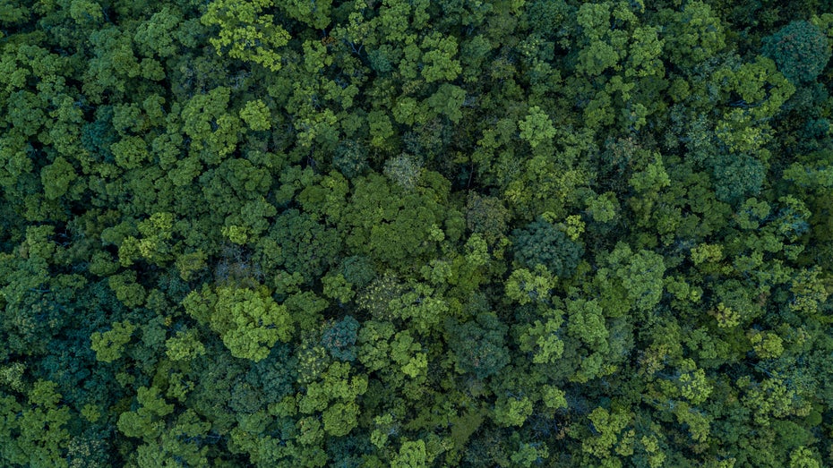 Würdest du für den Klimaschutz deinen Job aufgeben?