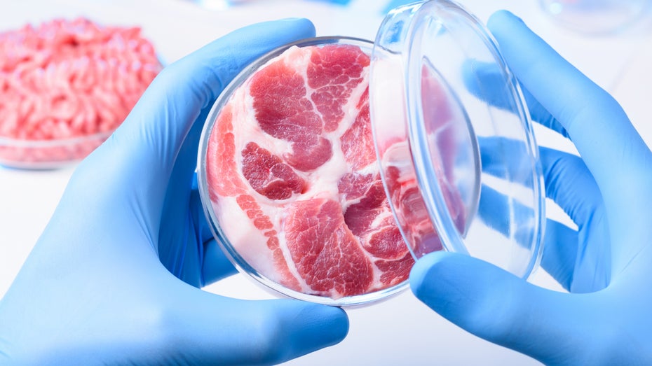 Noch immer machen Alternativprodukte nur zwei Prozent des Marktes für Fleisch, Fisch und Eier aus. Woran hakt es? (Bild: Shutterstock / nevodka) „Ungenutzte Klimachance“ – warum der Markt für Fleischalternativen schneller wachsen muss