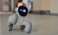 Ein Roboter so süß wie ein Welpe: Die putzige Loona erobert gerade Kickstarter