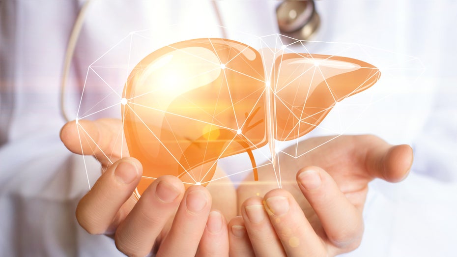 Miniaturen des wichtigen Organs Leber können Mediziner nun auch im Lymphgewebe wachsen lassen. (Grafik: Natali Mis/Shutterstock.com) Mediziner lassen statt Transplantation Minileber in Lymphknoten wachsen