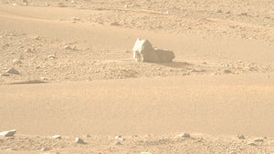 Mars-Rover Perseverance stößt auf einen Stein in Katzenform