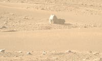 Mars-Rover Perseverance stößt auf einen Stein in Katzenform