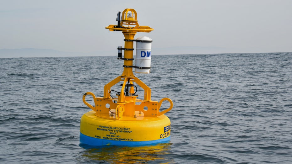 Boje mit KI-Unterstützung hilft, Wale zu retten. (Foto: Benioff Ocean Science Laboratory) 80 tote Tiere pro Jahr: Kalifornien will mit KI-Support Wale retten