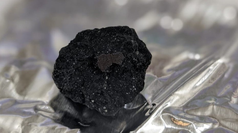 Dieses Gestein stammt von dem im Februar 2021 über England abgestürzten Meteoriten. (Bild: National History Museum) Wie kam das Wasser auf die Erde: Neuer Fund könnte Aufschluss geben